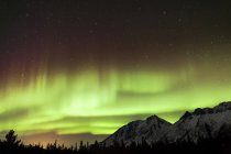 Aurora borealis over mountains and forest — Stock Photo