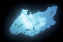 Esnórqueles nadando por encima del arrecife de barrera Palau - foto de stock