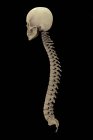 Representación en 3D de la columna vertebral humana sobre fondo negro - foto de stock