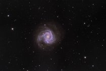 Paisaje estelar con Messier 61 Espiral Galaxy - foto de stock
