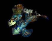 Пара мандаринських риб у темній воді — стокове фото