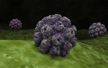 Концептуальних зображення polyomavirus клітин — стокове фото