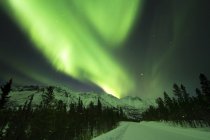 Luzes do norte sobre Annie Lake Road, Yukon Territory, Canadá — Fotografia de Stock