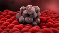 Микроскопический обзор цветных опухолевых клеток — стоковое фото