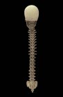 Rendering 3D della colonna vertebrale umana su sfondo nero — Foto stock