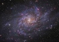 Galaxia espiral en constelación de Triangulum - foto de stock