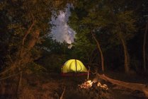 Tenda iluminada e fogueira na floresta — Fotografia de Stock