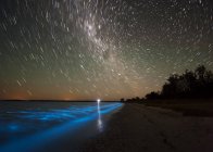 Star trails and bioluminescence in Gippsland lake — Stock Photo