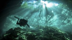 Buceador nadando en Chac Mool cenote - foto de stock