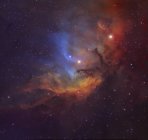 Paisagem estelar com nebulosa tulipa em Cygnus — Fotografia de Stock