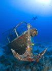 Divers visiting wreck of Pelicano — Stock Photo
