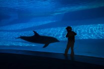 Menino e golfinho no aquário — Fotografia de Stock