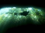 Scuba diver in Garden of Eden cavern — Stock Photo