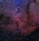 Paisaje estelar con nebulosa de tronco de elefante - foto de stock