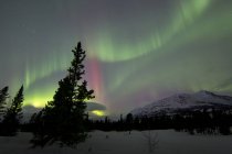 Aurora boreale sopra il deserto di Carcross — Foto stock