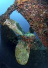 Propeller of Hilma Hooker shipwreck — Stock Photo
