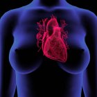 Vorderseite weiblicher Brust und Herz auf schwarzem Hintergrund — Stockfoto
