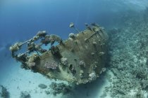 Destruição de barco à vela em um recife de coral, Mar Vermelho, Egito — Fotografia de Stock