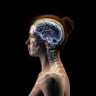 Profile of womans head with skull and brain on black background — Stock Photo