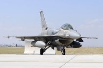 Турция, Конья - 26 июня 2013 г.: Объединенные Арабские Эмираты F-16E Desert Falcon на международном учении 