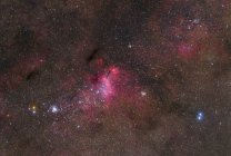 False Comet Cluster in Scorpius in high resolution — Stock Photo