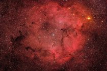 IC 1396 Elephant Trunk Nebula in true colors — Stock Photo