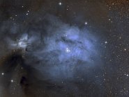 IC 4603 синій Відбивна туманність сузір'я Змієносця — стокове фото