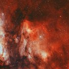 IC 5070 Pelican Nebula in true colors in high resolution — Stock Photo