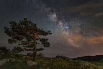 Árbol en la cima de la montaña bajo las estrellas y la Vía Láctea, la Crimea - foto de stock