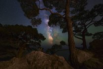 Via Láctea brilhando através de árvores na costa do Mar Negro em Balaklava, Crimeia — Fotografia de Stock