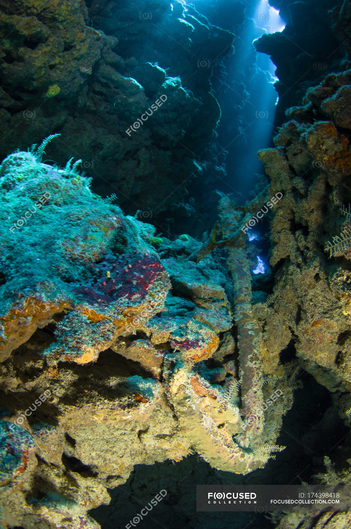 Old Ship Anchor On Reef — Sunken, Artificial Reef - Stock Photo 