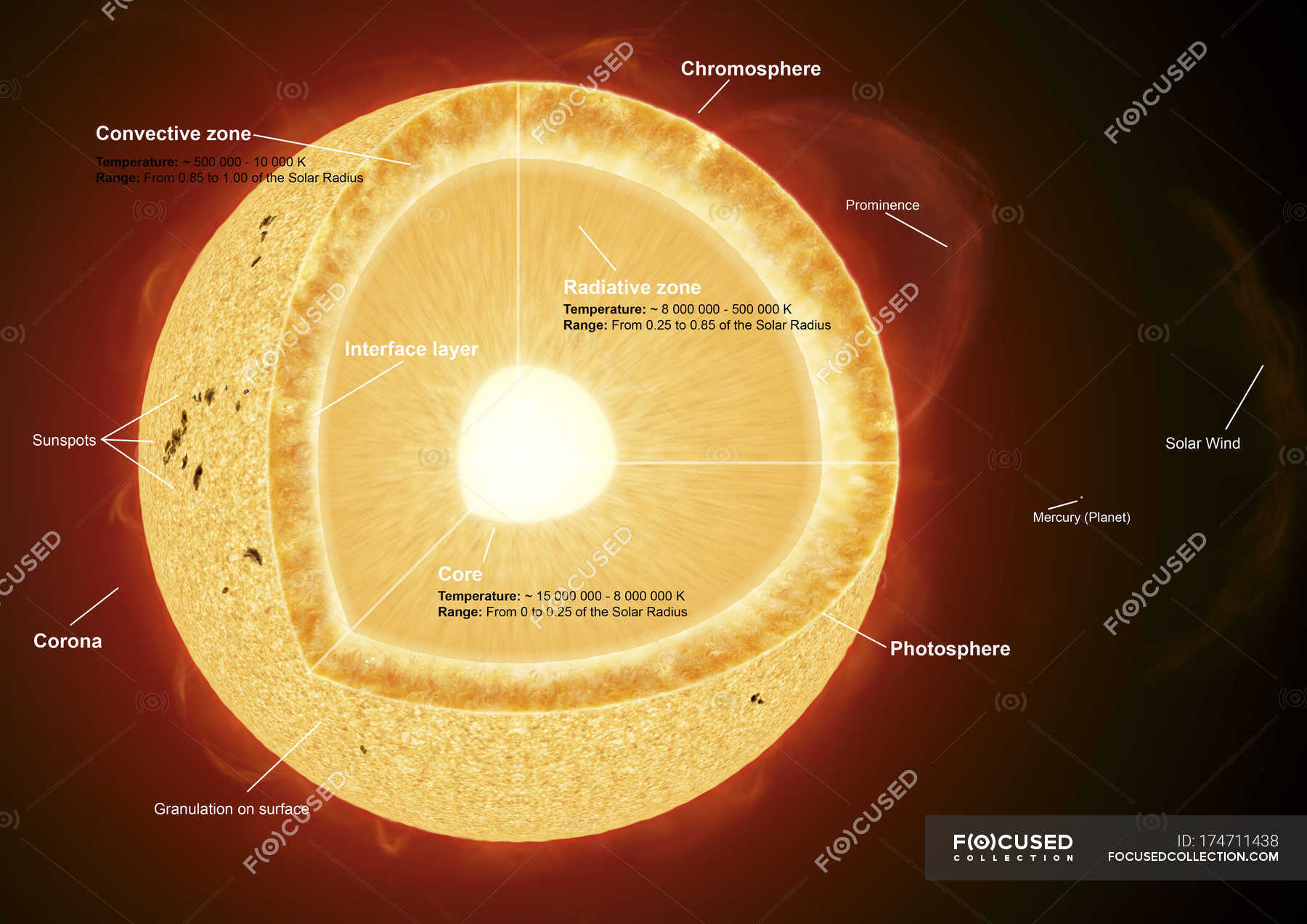 Элементы солнечной короны. Фотосфера хромосфера. Фотосфера хромосфера и корона. Хромосфера солнца. Хромосфера и Солнечная корона.
