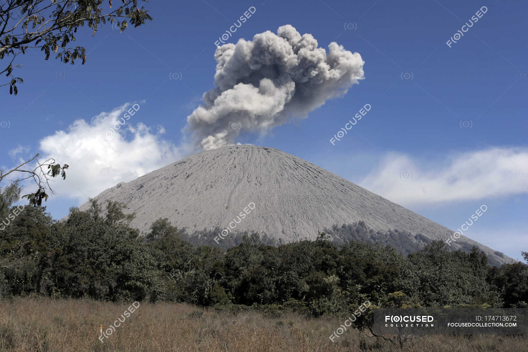 Semeru eruption on Java Island — landform, trees - Stock Photo | #174713672