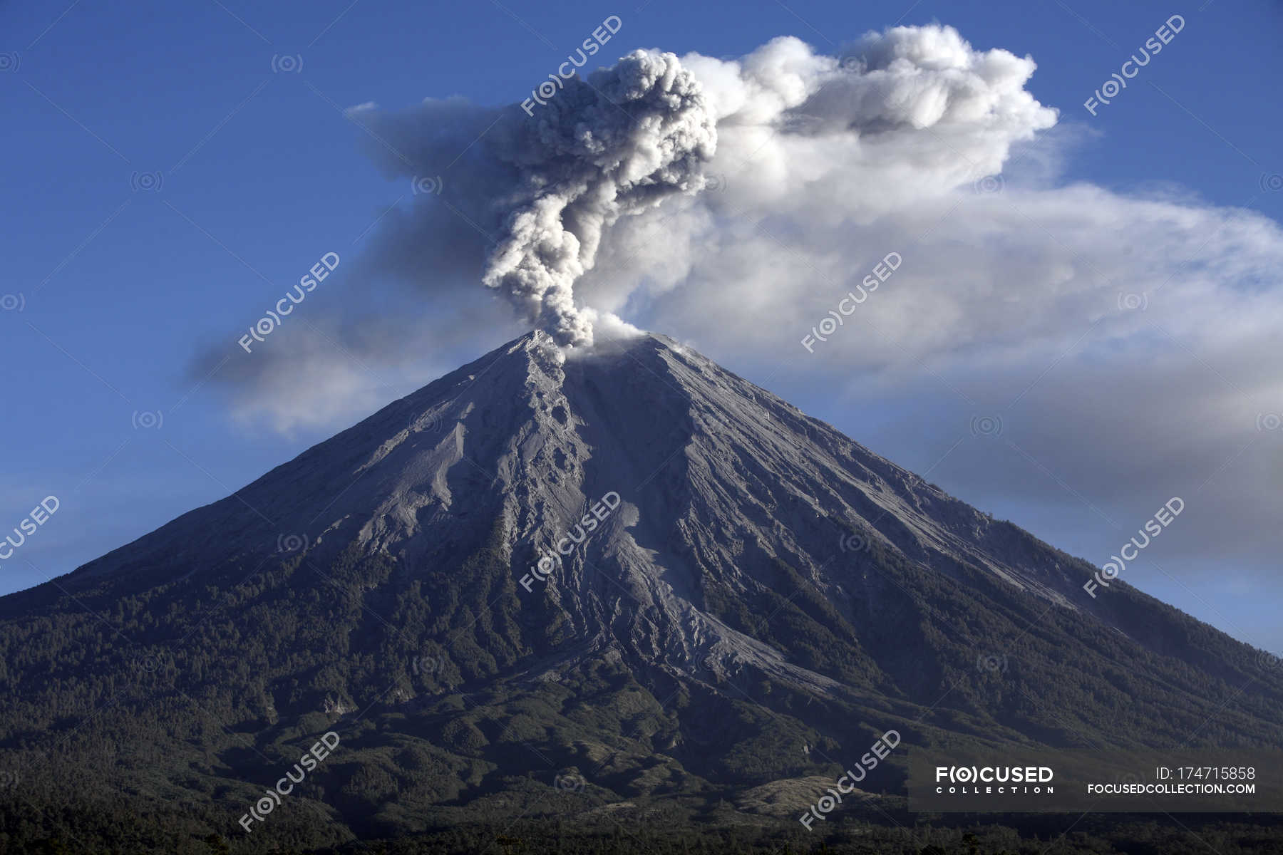 Semeru eruption on Java Island — exploding, clouds - Stock Photo ...