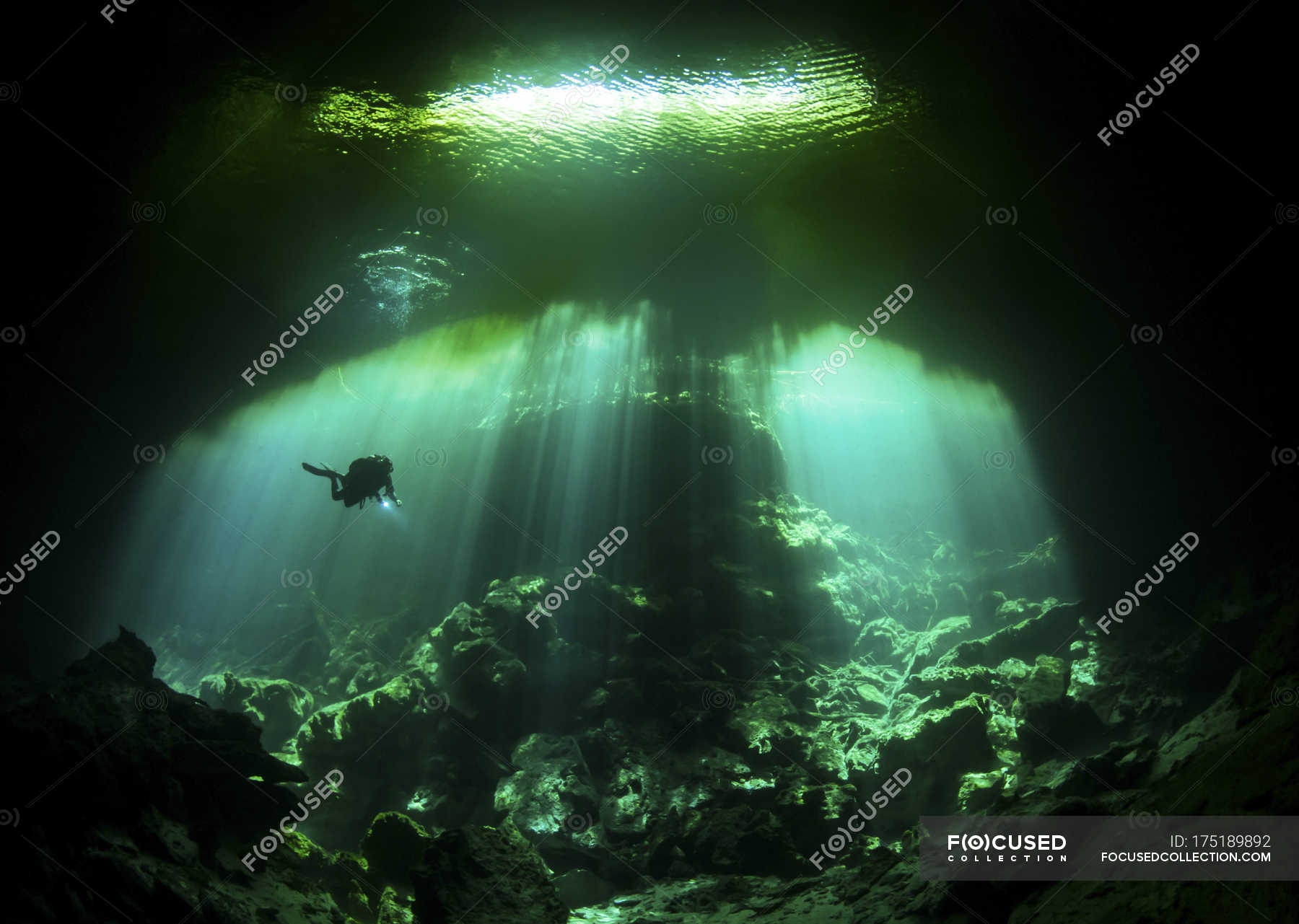 Diver in Garden of Eden cenote — backlit, lagoon - Stock Photo | #175189892
