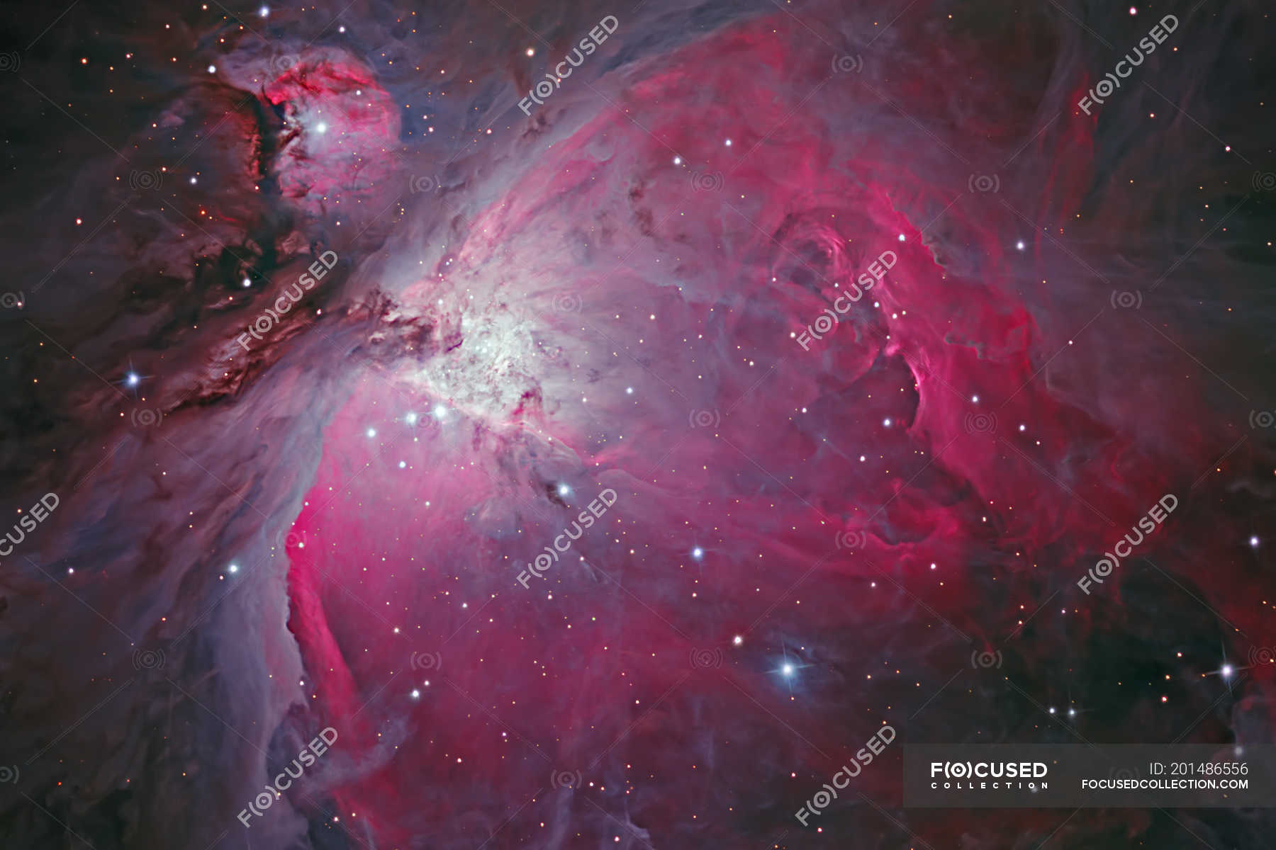 Messier Orion Nebula In True Colors In High Resolution Astrophotography Red Stock Photo