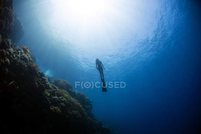 Mergulhador subindo de profundidade — Fotografia de Stock