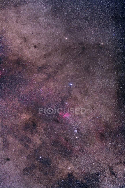 Scorpius queue orientée équatorialement — Photo de stock