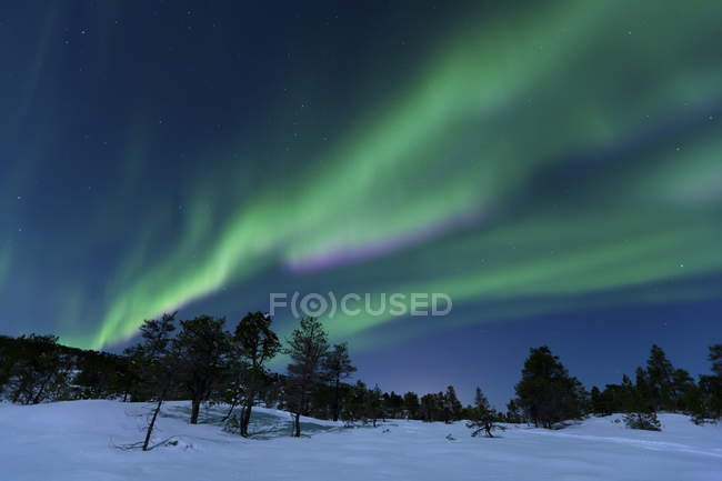 Polarlichter in Troms — Stockfoto