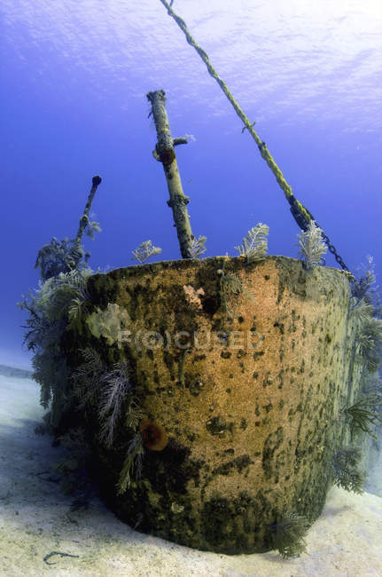 Arco de Oro Verde Wreck — Fotografia de Stock