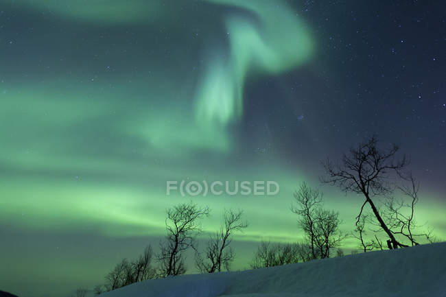 Luces boreales en la naturaleza ártica - foto de stock