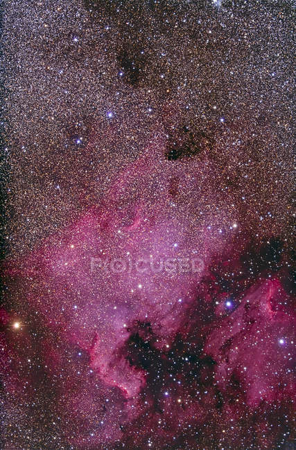 North America and Pelican nebulas — Stock Photo