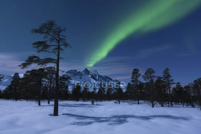 Aurora Borealis над дикой природой горы Нова — стоковое фото