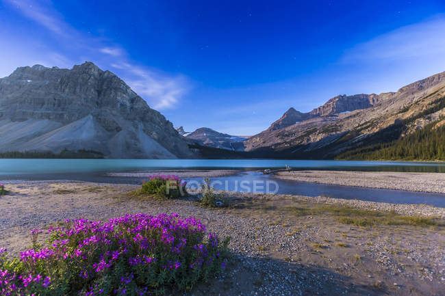 Bow lake in Banff National Park — Stock Photo