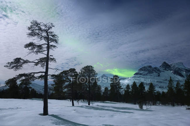 Luz de luna y aurora boreal - foto de stock