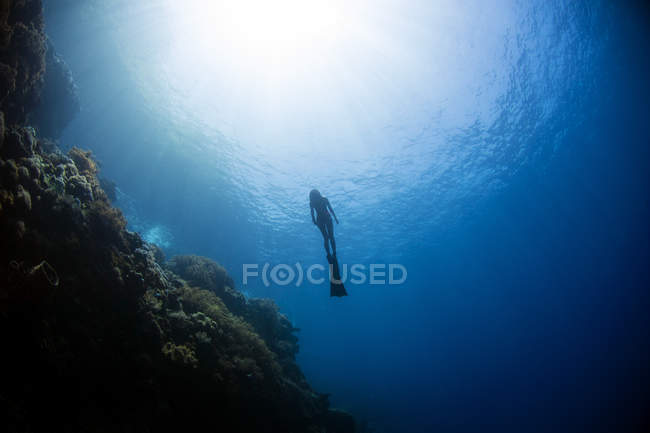 Plongeur montant des profondeurs — Photo de stock