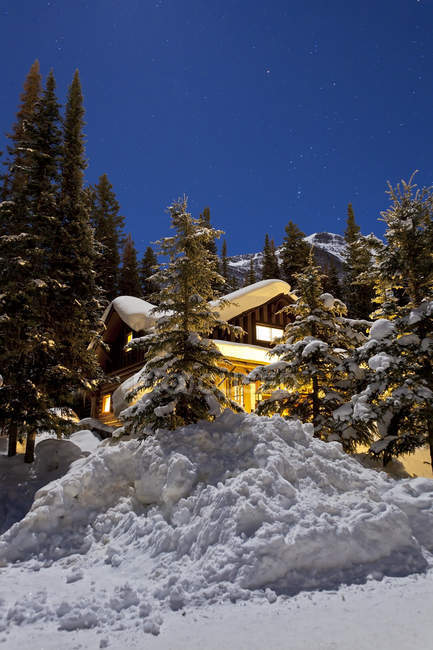 Нічний пейзаж з будинком і сніговими деревами — стокове фото