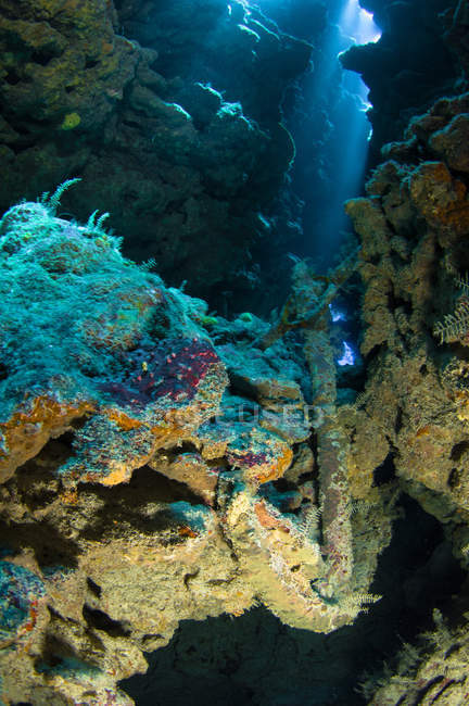 Old ship anchor on reef — Stock Photo