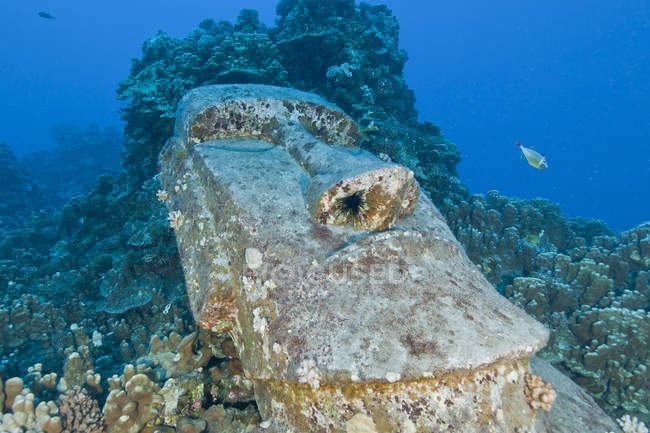 Statue Moai coulée près de l'île de Pâques — Photo de stock