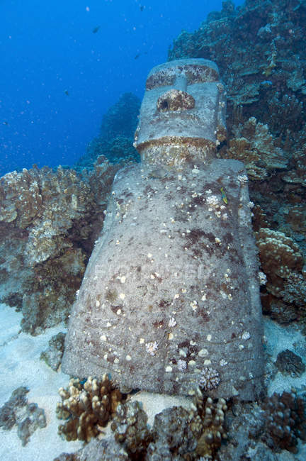 Estátua de Moai afundada — Fotografia de Stock